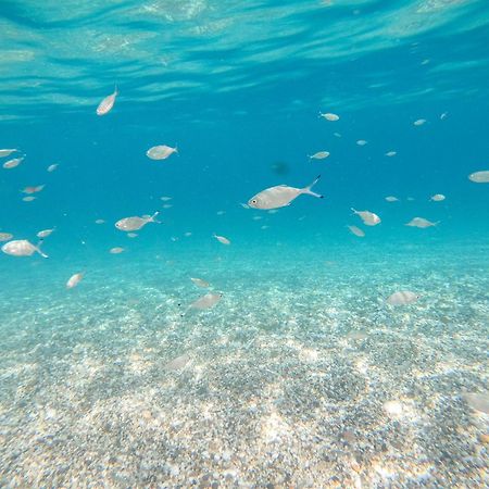 Complejo Turistico Los Bayiyos Агуа Амарга Екстериор снимка