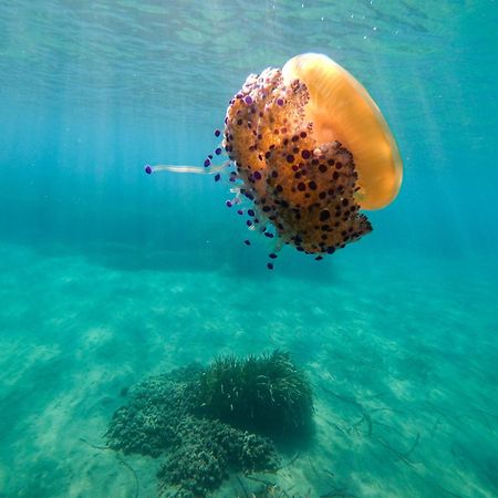 Complejo Turistico Los Bayiyos Агуа Амарга Екстериор снимка